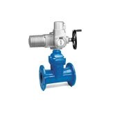 Задвижки 15/42 с электроприводом AUMA